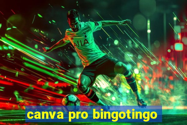 canva pro bingotingo